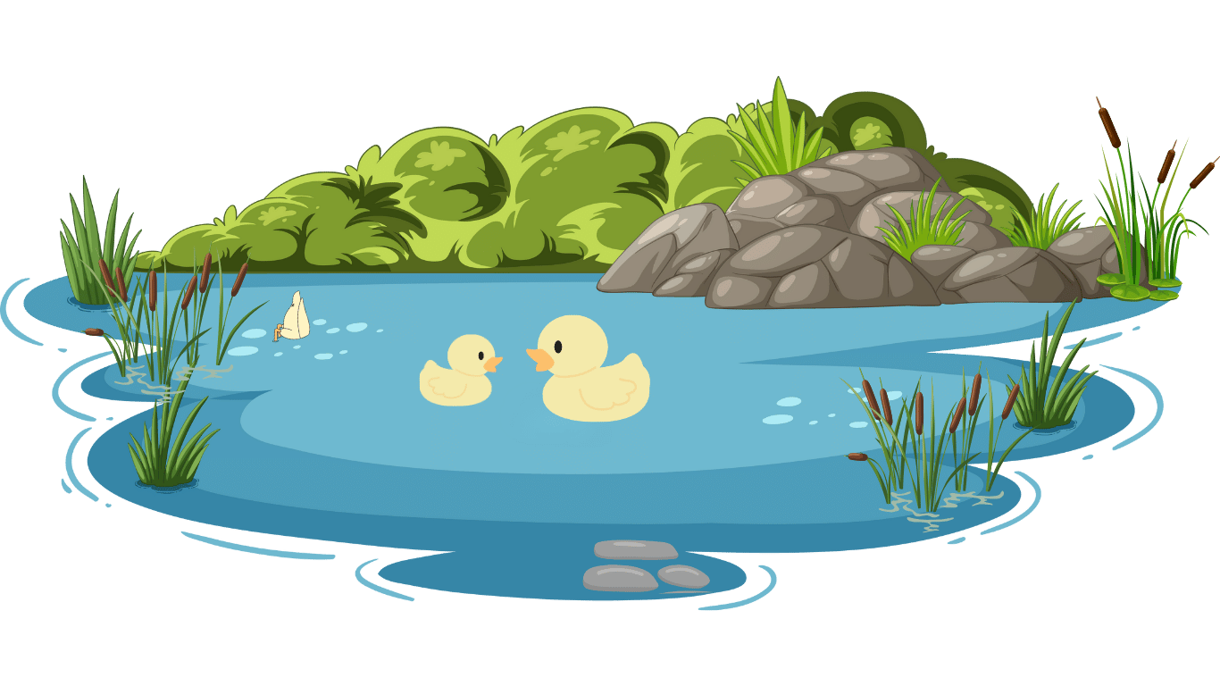 pond cartoon