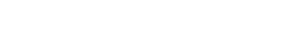 Echo 3D Logo
